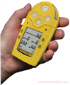 GasAlertMicro 5 PIDһw